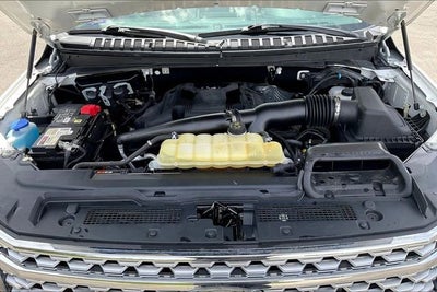2020 Ford Expedition Platinum